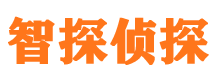 高淳外遇调查取证